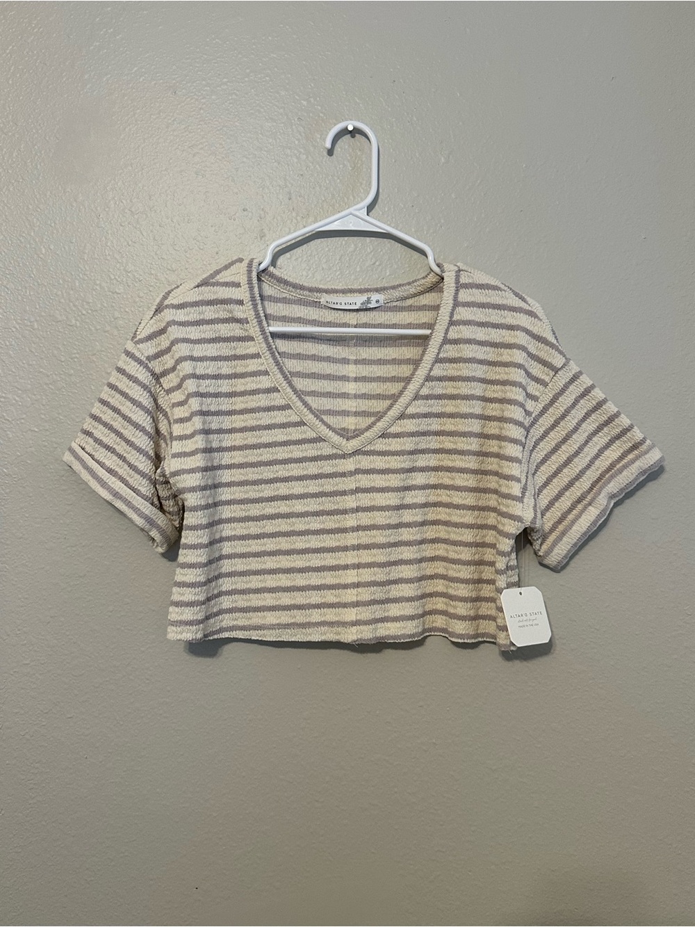 Altar'd State Cream & Taupe Striped V-Neck Crop Top